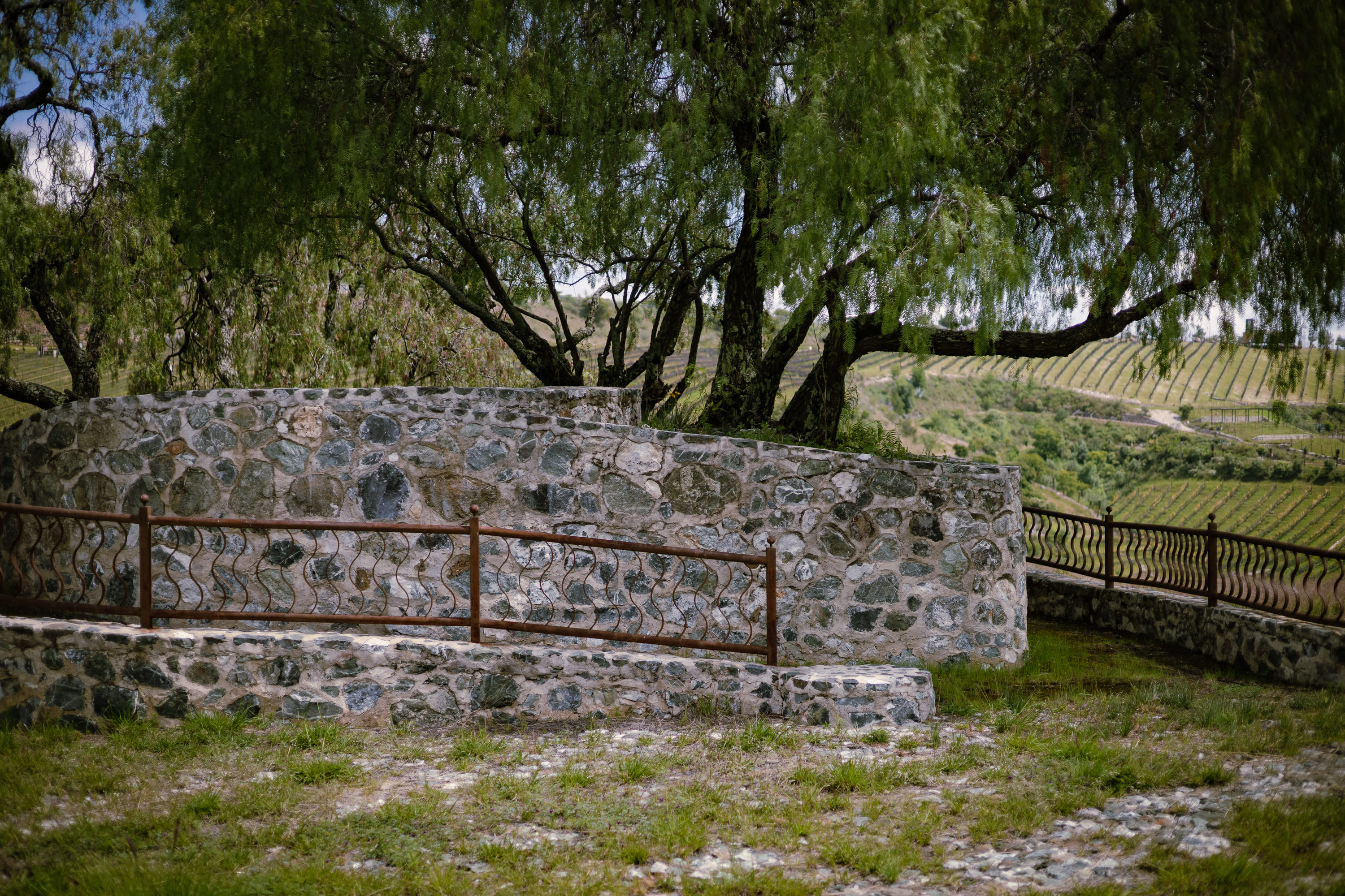 Imagen de Laberinto Picnic